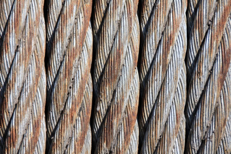 What is White Rust?
