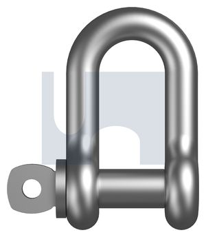 316 Grade Stainless Steel D Shackle Standard